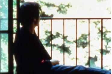 Caratula Barren Illusion